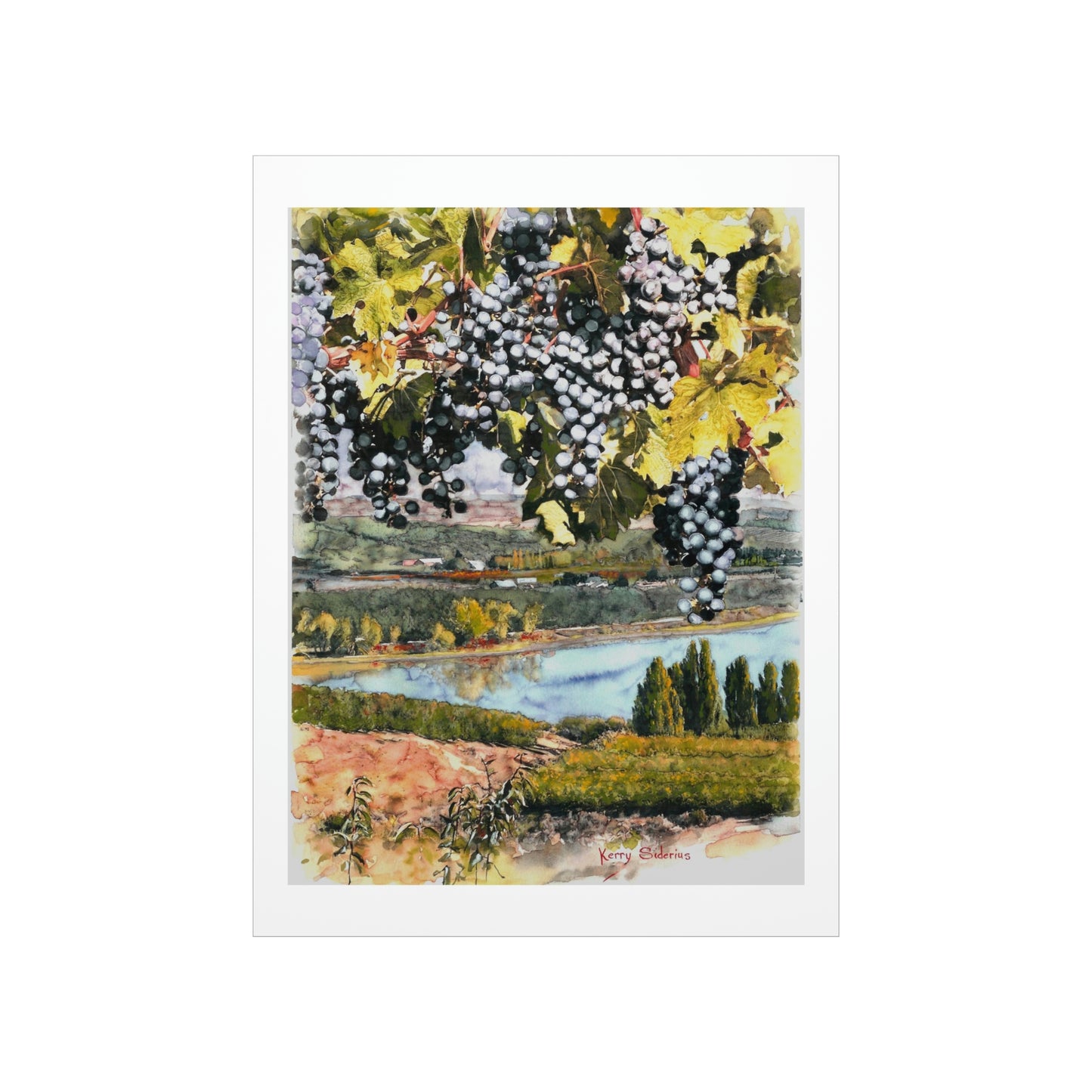 "Grapes Over The Columbia" Premium Matte Vertical Posters - Kerry Siderius Art 