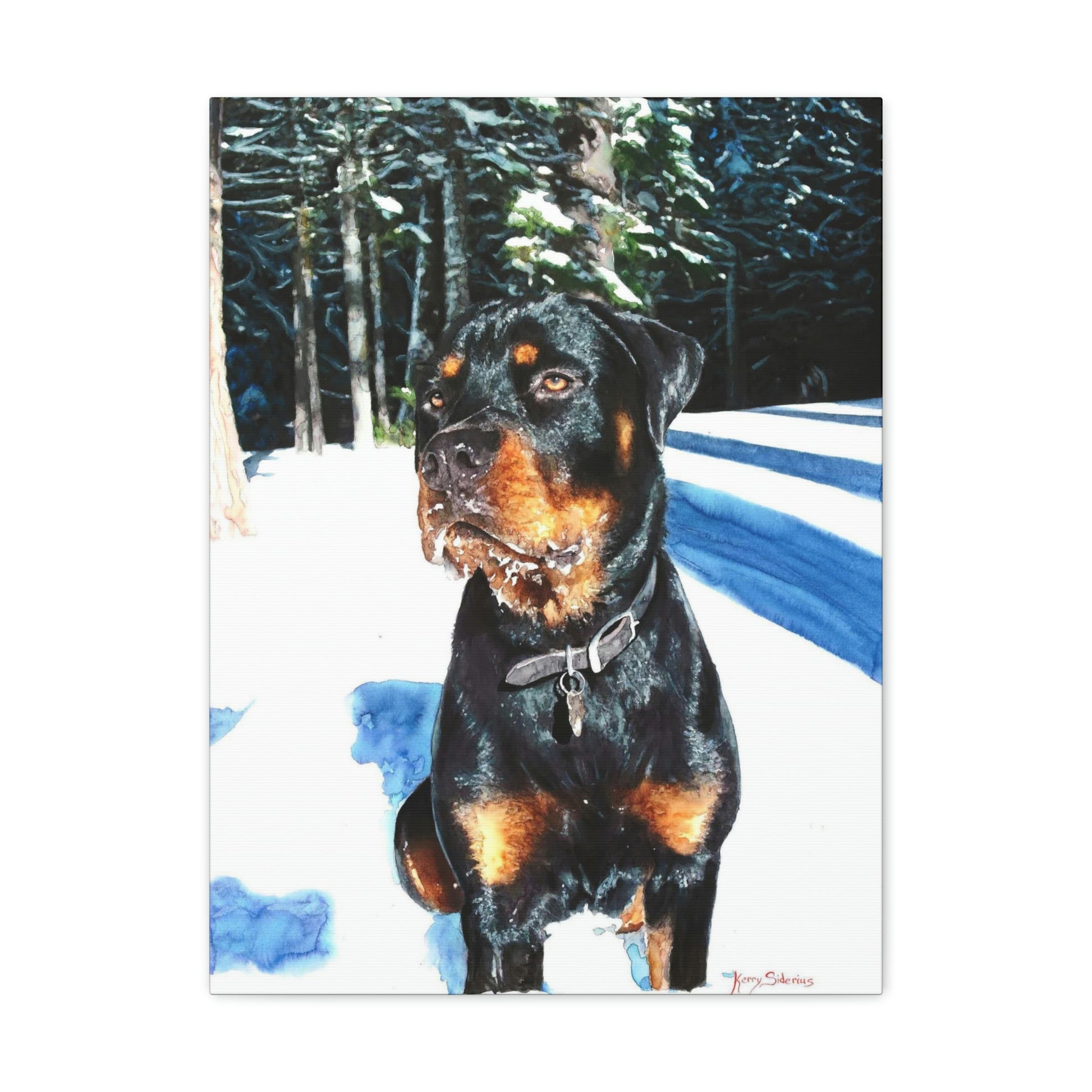 "Rottweiler in the Snow" Gallery Wrapped Canvas - Kerry Siderius Art 