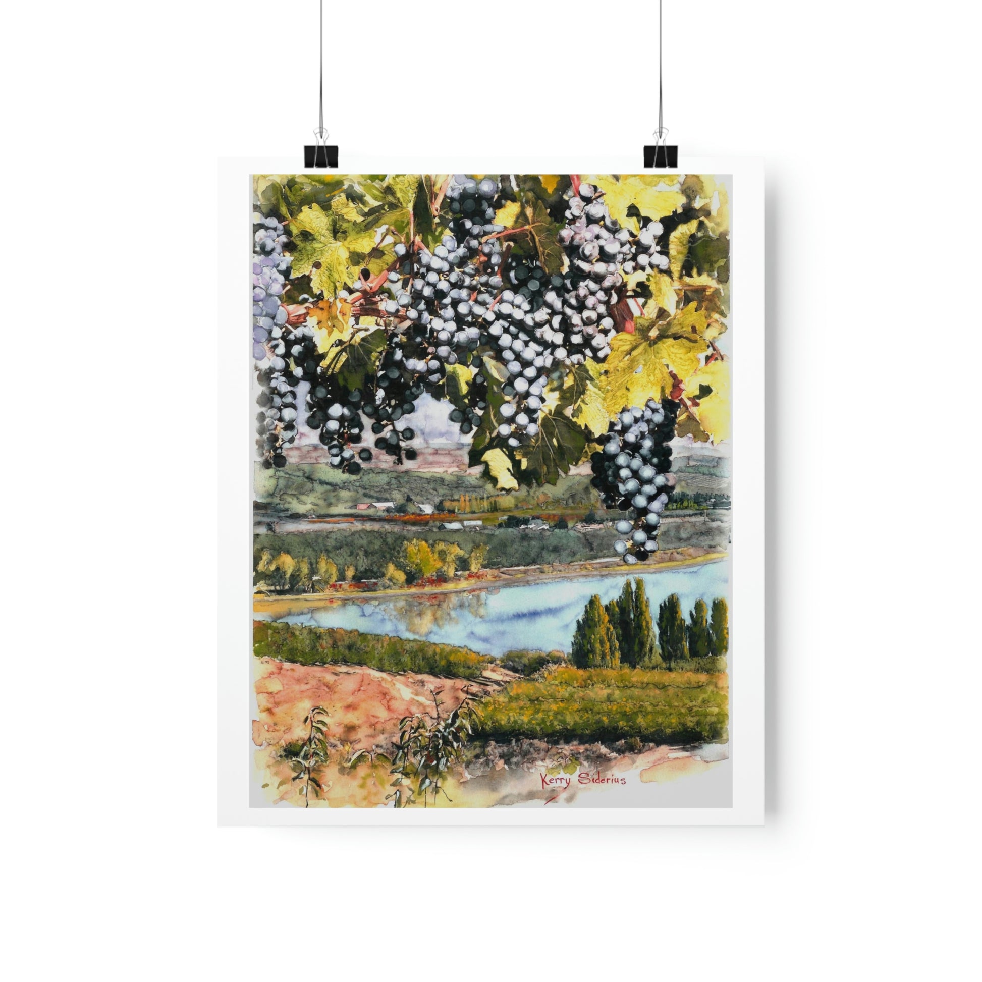 "Grapes Over The Columbia" Premium Matte Vertical Posters - Kerry Siderius Art 