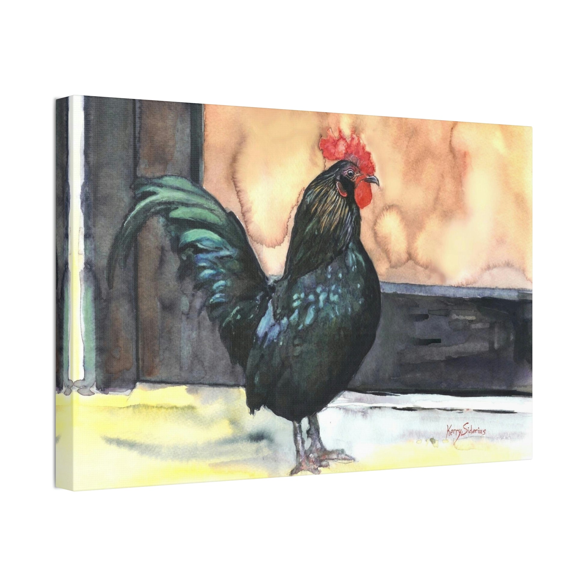 "There's a Rooster at My Door" Stretched Canvas - Kerry Siderius Art 