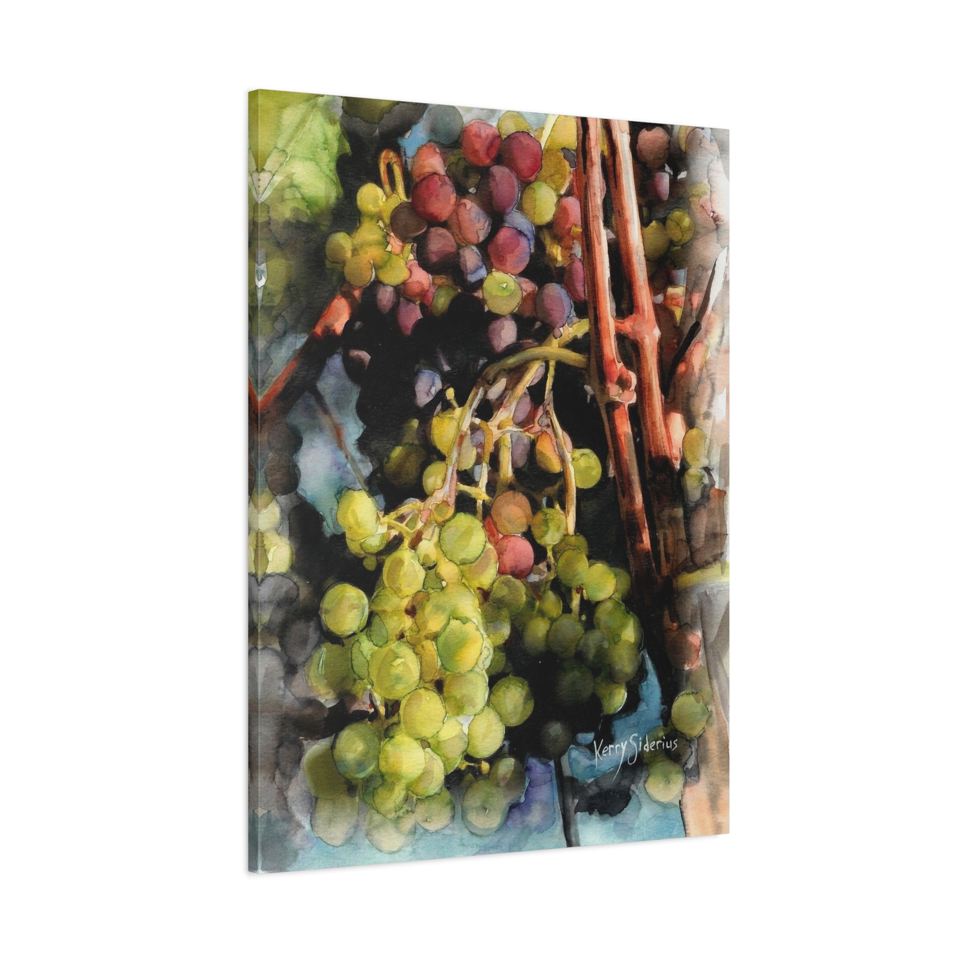 "Wine Grapes Getting Some Color" Matte Canvas, Stretched, 1.25" - Kerry Siderius Art 