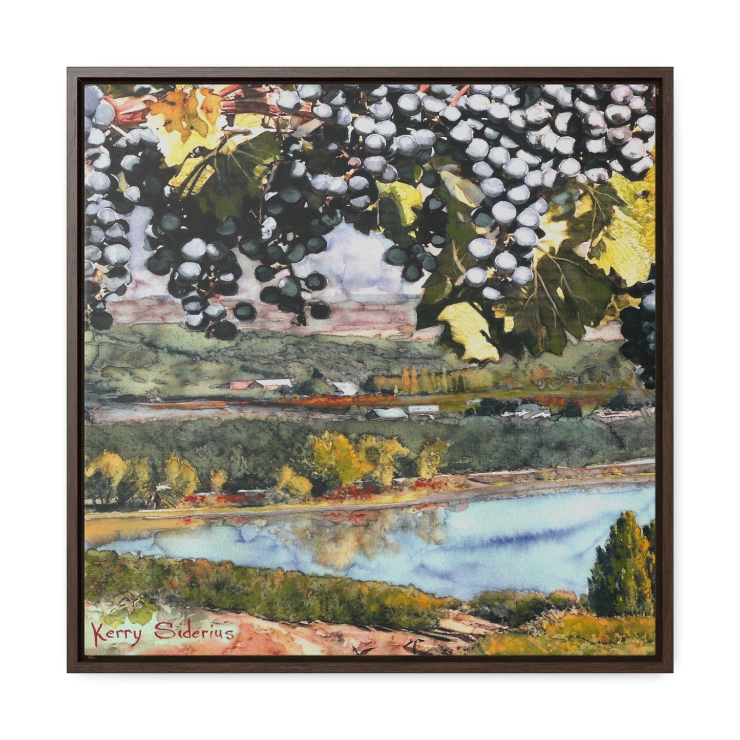 "Grapes Over The Columbia View" Gallery Canvas Wraps, Square Frame - Kerry Siderius Art 