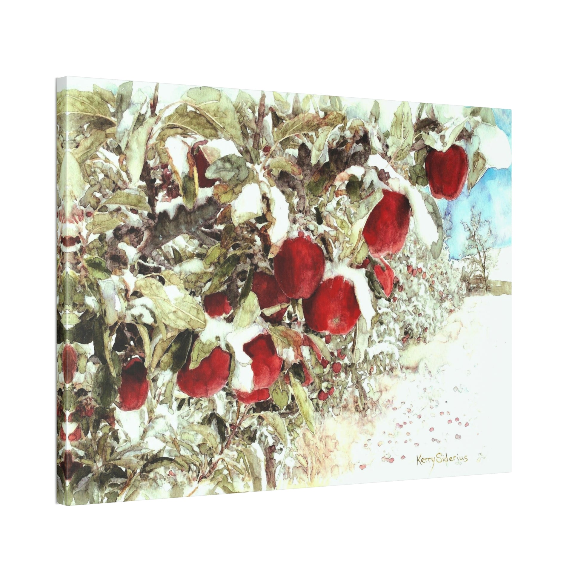 "Apples in the Snow" Wrapped  Canvas - Kerry Siderius Art 