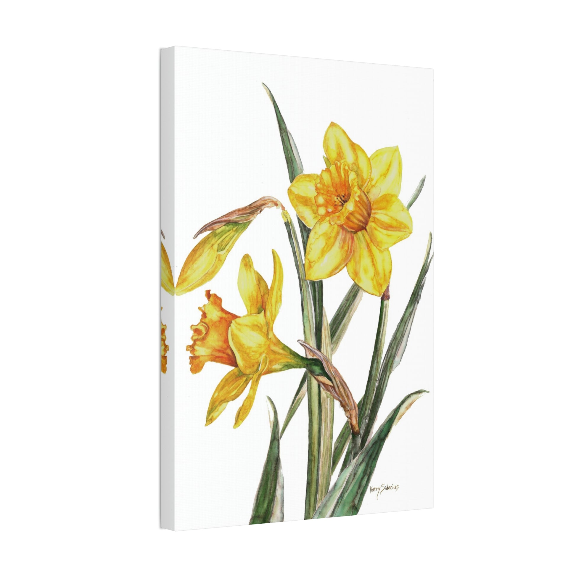 "Simple Spring Daffodil" Polyester Canvas - Kerry Siderius Art 