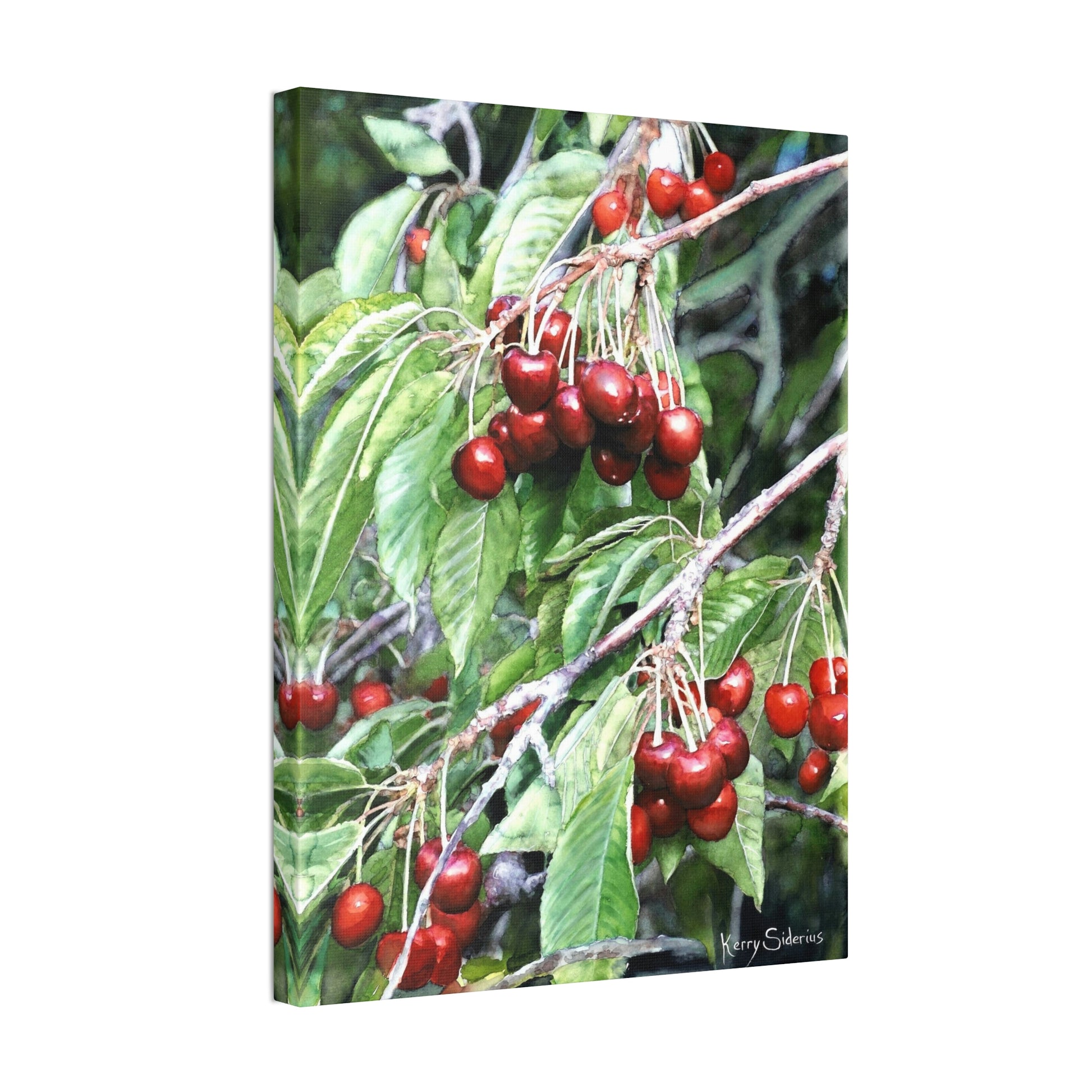 "Cherries in Orondo" Wood-Framed Canvas - Kerry Siderius Art 
