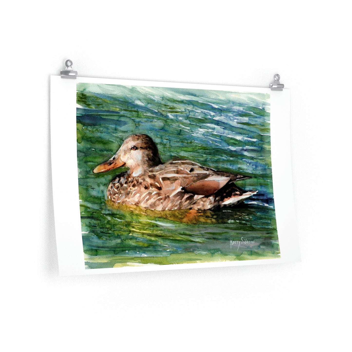 "Mama Duck on Lake Chelan" Premium Matte Print - Kerry Siderius Art 