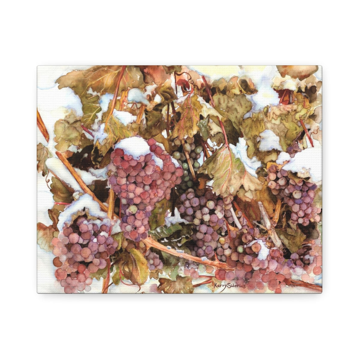"Snowy Grapes in Chelan" Canvas (6 Sizes Available) - Kerry Siderius Art 