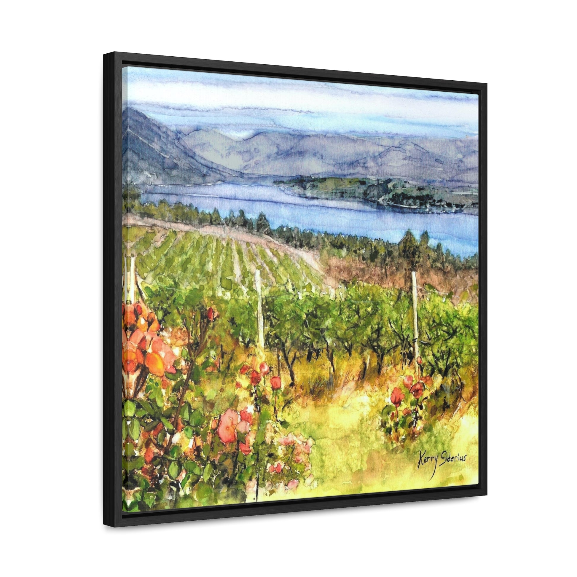 "Lake Chelan Vineyard View Uplake" Gallery Canvas Wraps, Square Frame - Kerry Siderius Art 